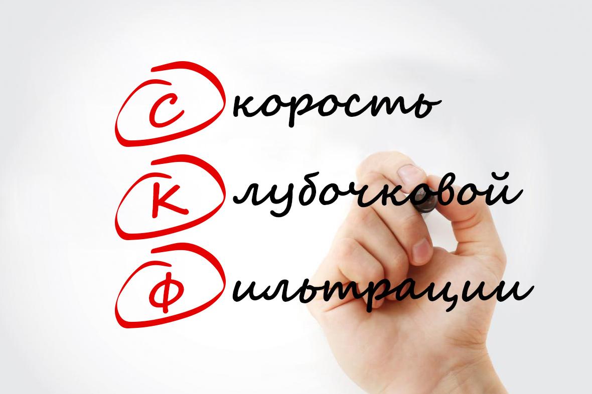 Скорость клубочковой фильтрации